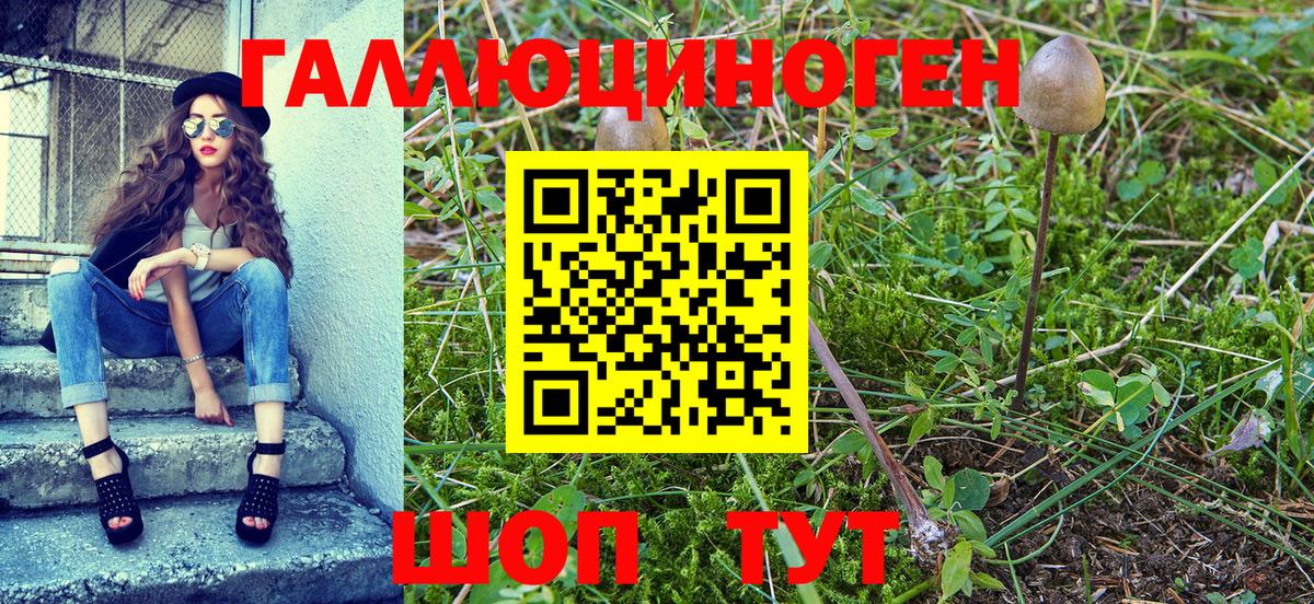 Галлюциногенные грибы Psilocybine cubensis  Вход с VPN  Корсаков 